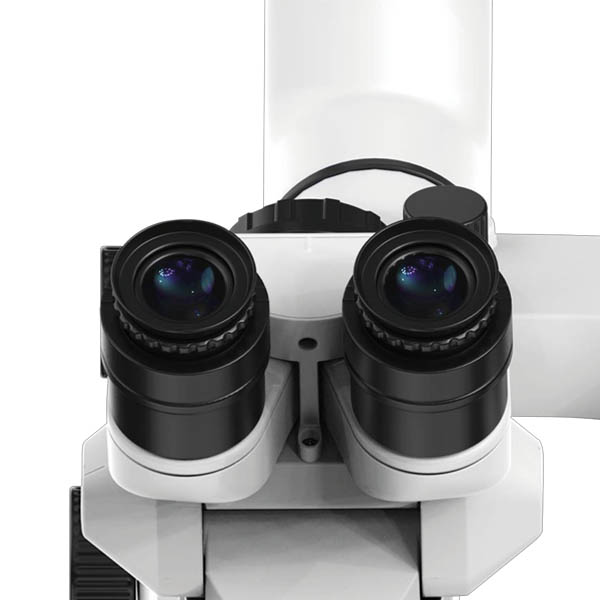 MICROSCOPE C-CLEAR 2 COXO